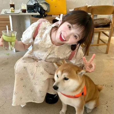 栓翼天使 在线观看